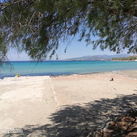 Beach N Fun Bbq Fireplace Saronida Quarto foto